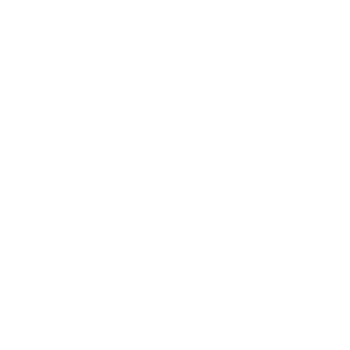 Stage Icon